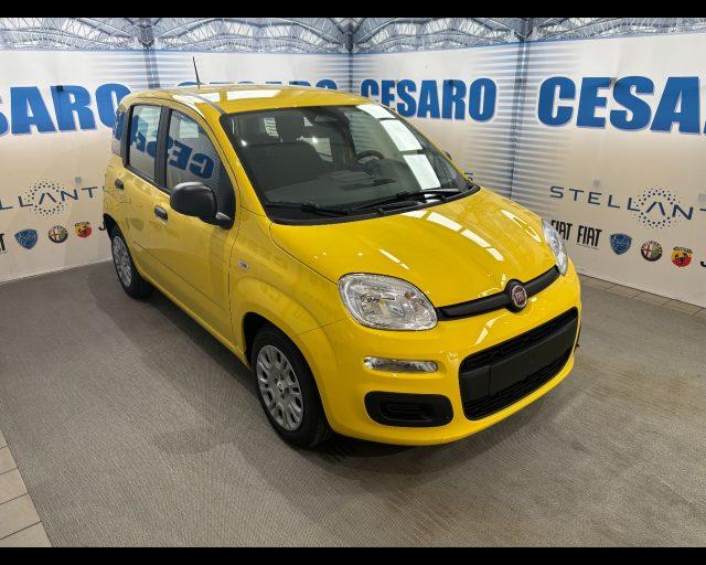 FIAT Pandina 1.0 firefly hybrid Icon s&s 65cv