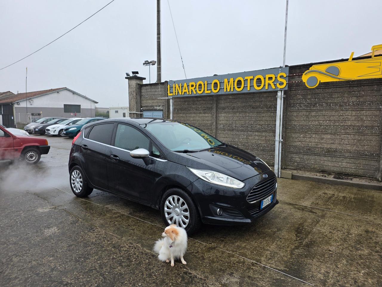 Ford Fiesta 1.4 TDCi 5p. Titanium JNEOPATENTATA
