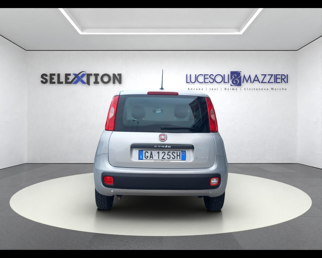 FIAT PANDA - Panda 1.0 FireFly S&S Hybrid Easy