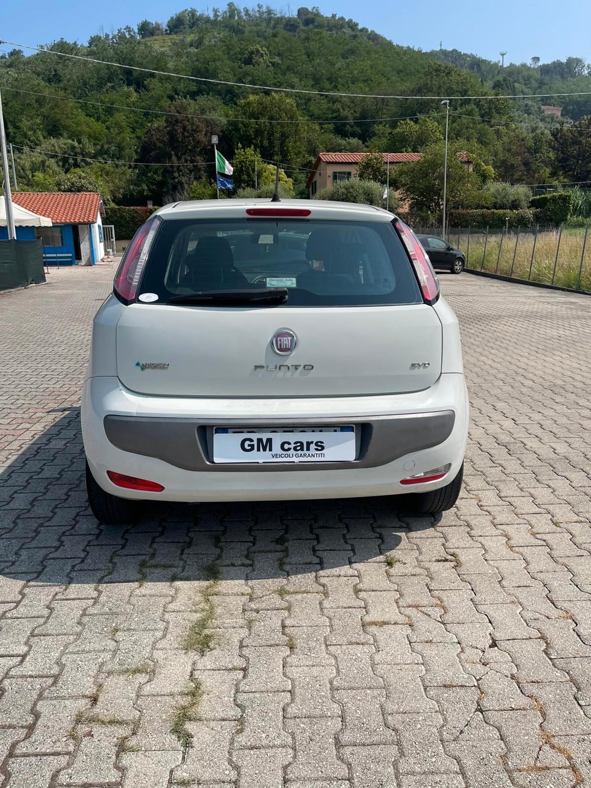 Fiat Punto Evo Punto Evo 1.4 M.Air 16V 5 porte S&S Emotion