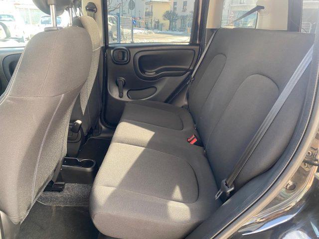 FIAT Panda 1.0 MILD- Hybrid VETRI OSCURATI
