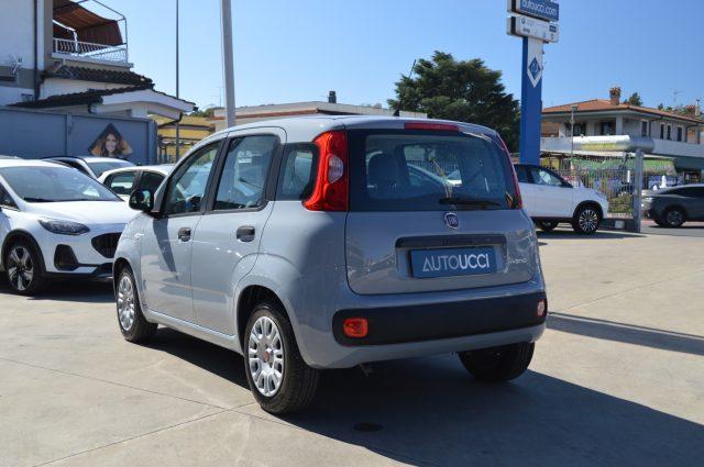 FIAT Panda 1.0 FireFly S&S Hybrid 70 CV