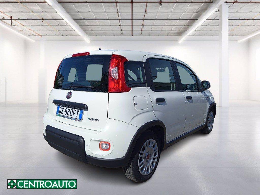 FIAT Panda 1.0 firefly hybrid s&s 70cv del 2024