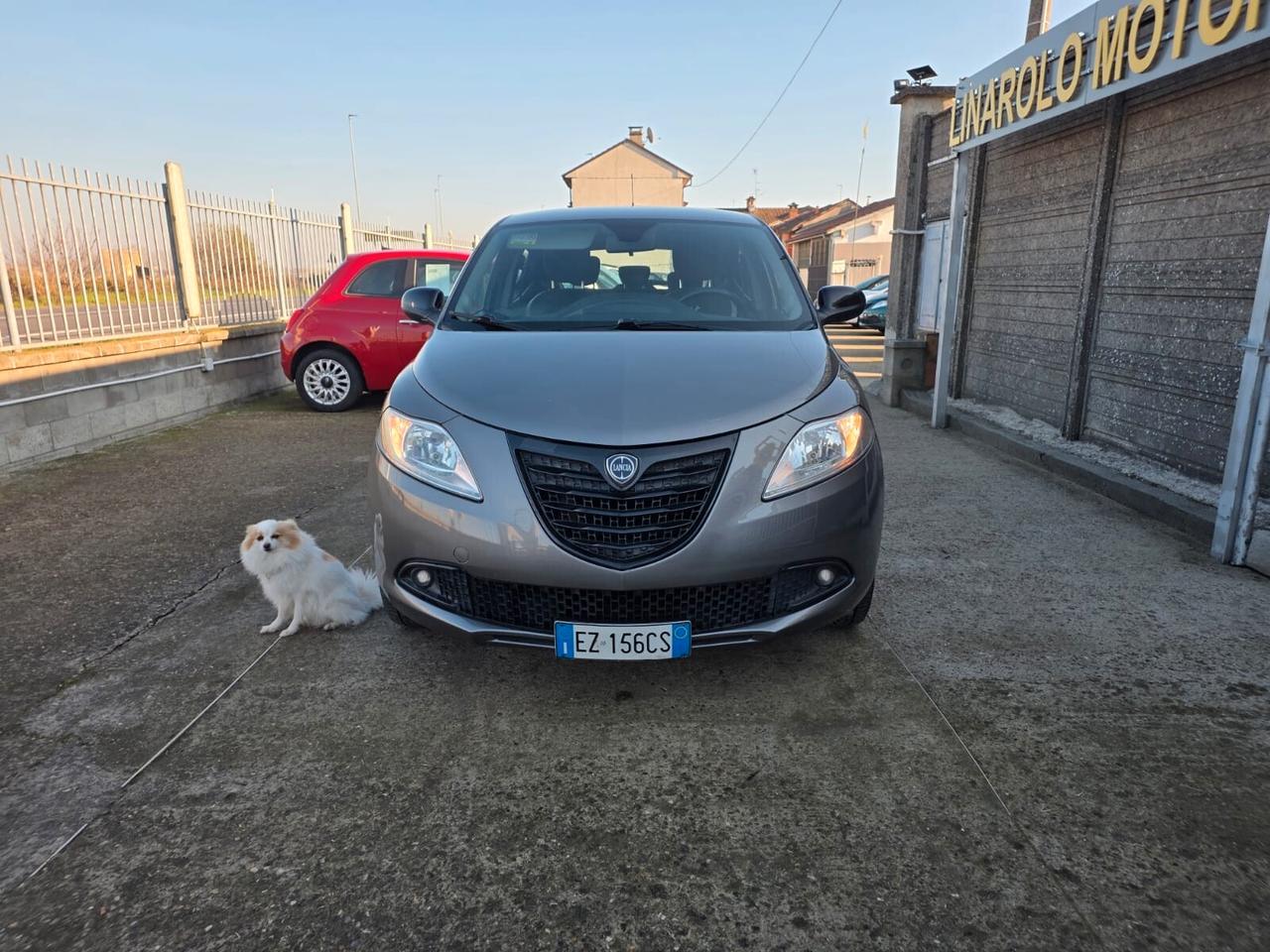 Lancia Ypsilon 1.2 69 CV 5 porte Elle
