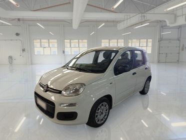 FIAT PANDA 1.0 FireFly 70cv S/S Hybrid 5 PORTE