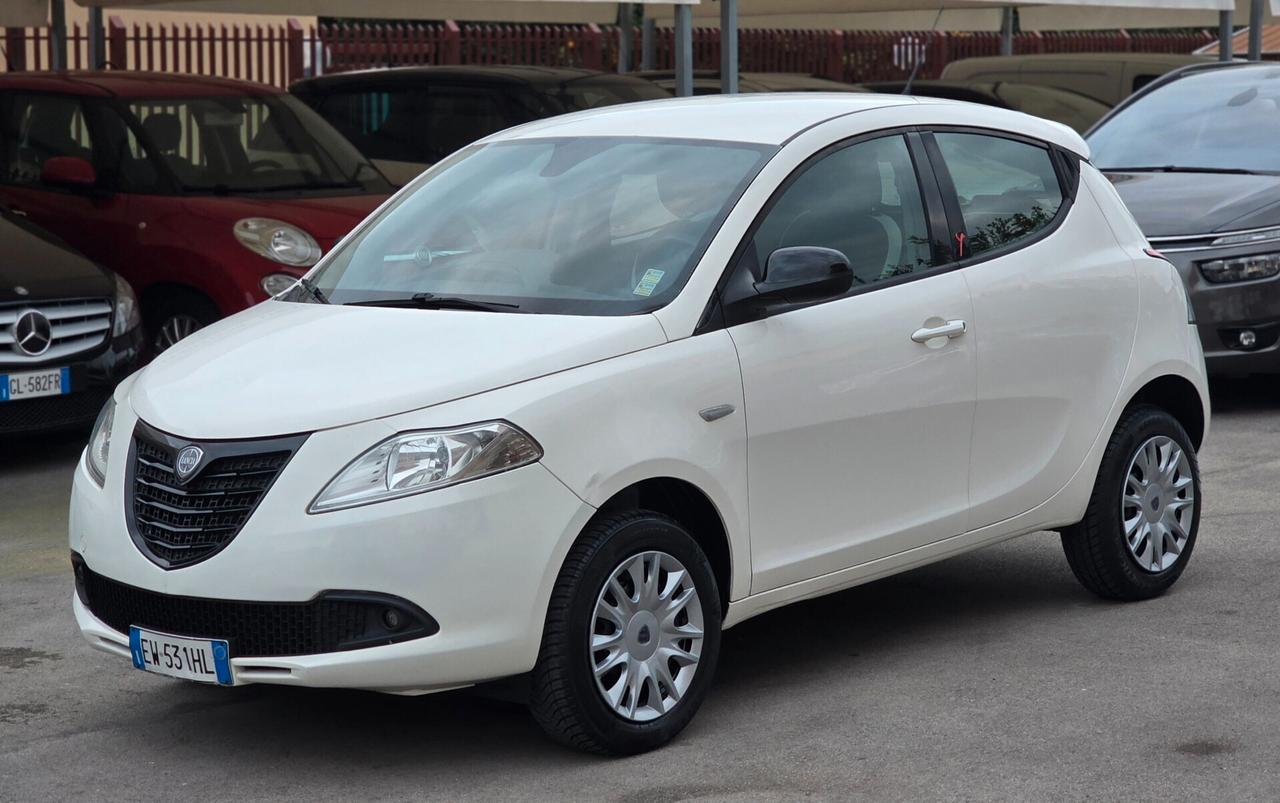 Lancia Ypsilon 0.9 TwinAir 85 CV 5 porte Metano Ecochic Elefantino
