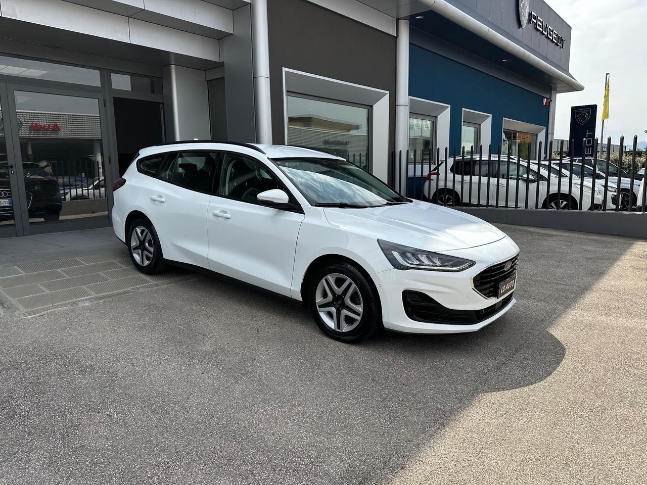 Ford Focus 1.5 EcoBlue 120 CV automatico SW Business