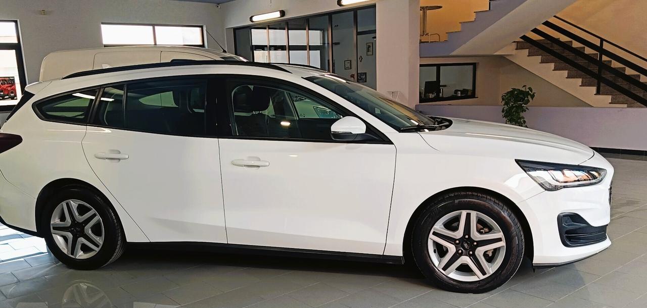 Ford Focus 1.5 EcoBlue 120 CV SW Business Bianca 2022