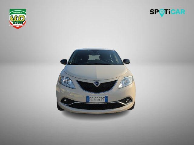 LANCIA Ypsilon 1.3 MJT 16V 95 CV 5 porte S&S Platinum