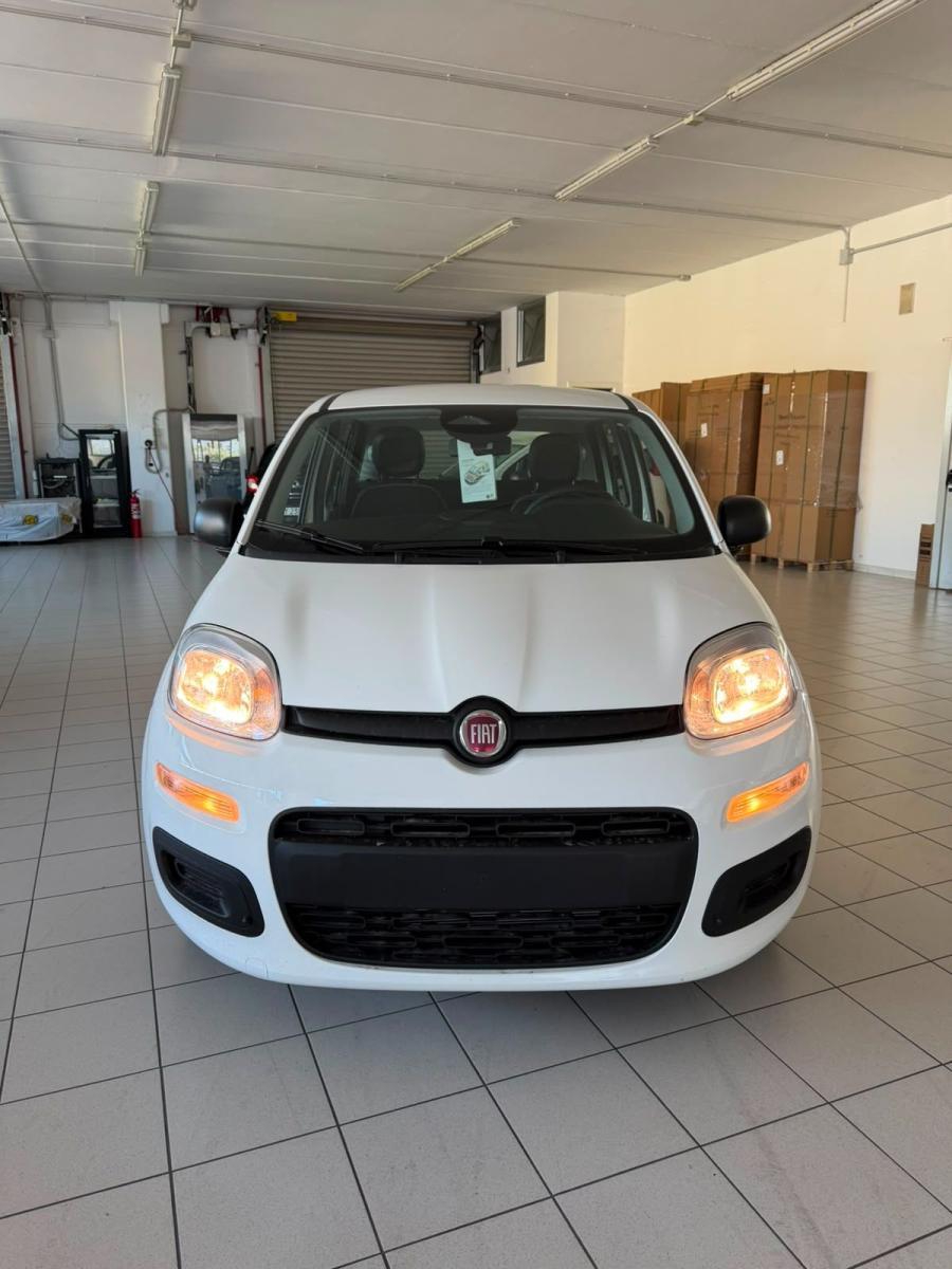 FIAT - Panda - 1.0 FireFly S&S Hybrid Pandina