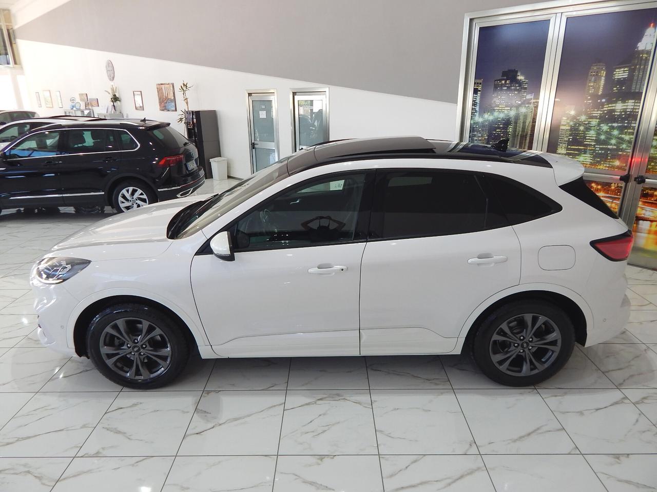 Ford Kuga 2.0 ecoblue ST-Line X awd 150cv Aut. TETTO-NAVI-PELLE-PARK-LED