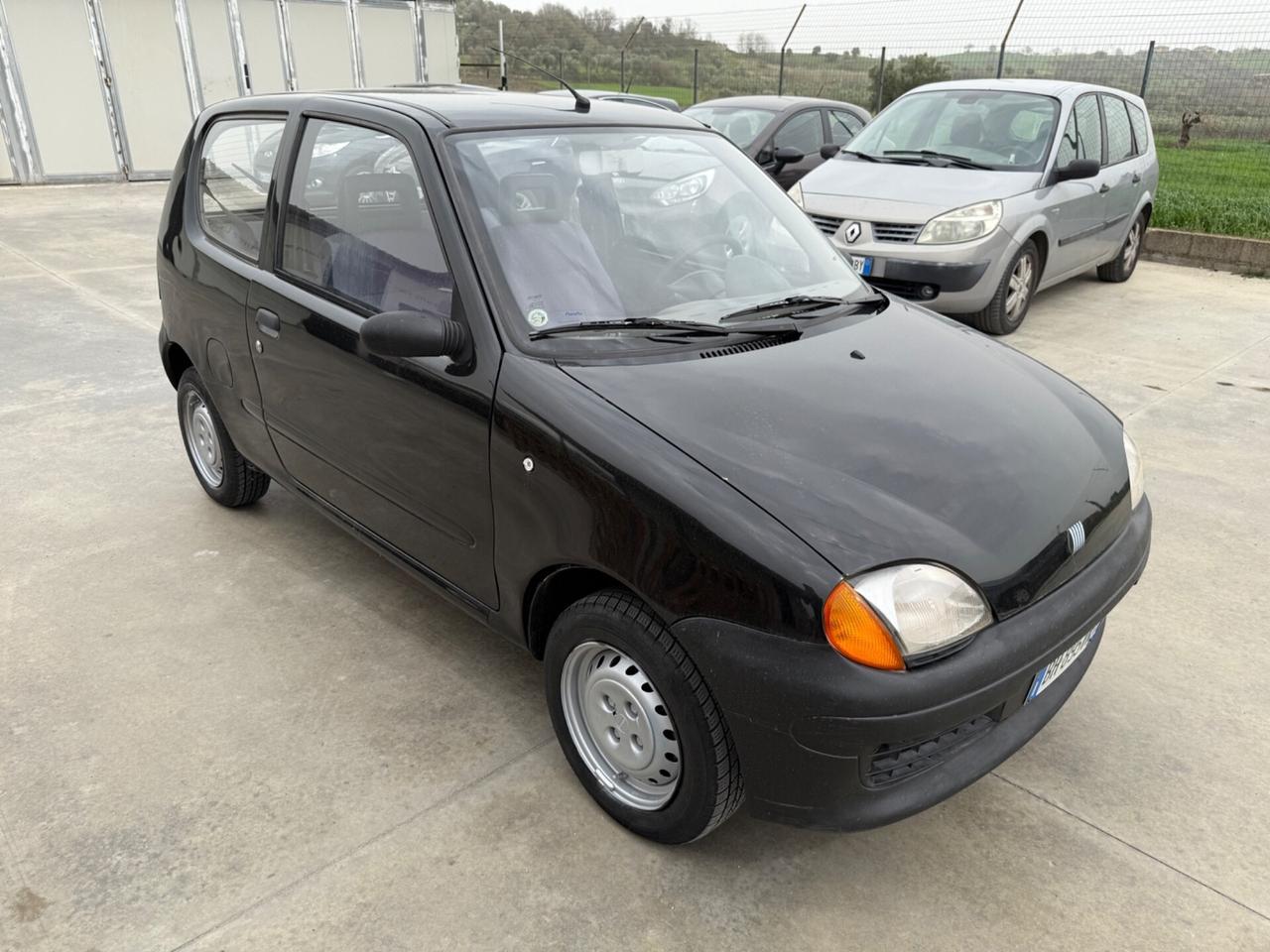 Fiat Seicento 900i cat Young