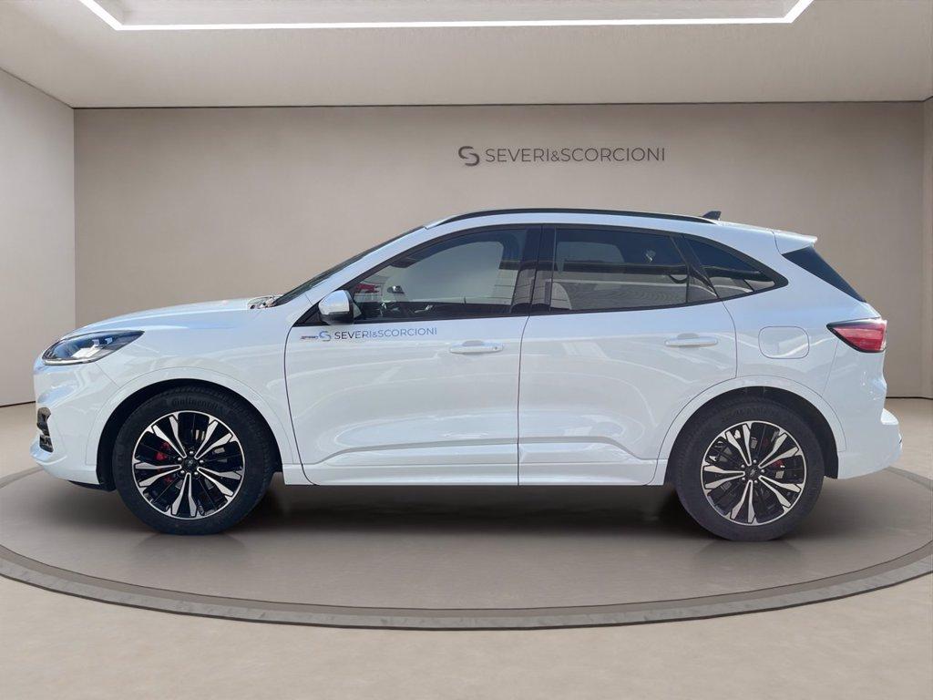 FORD Kuga 2.0 ecoblue st-line x awd 120cv auto del 2023