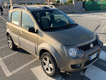 Fiat Panda 1.3 MJT 16V 4x4 Cross MONSTER