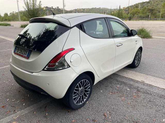 LANCIA Ypsilon 1.3 MJT 16V 95 CV 5 porte S&S Elle