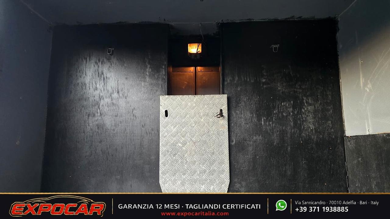 Iveco Daily - Trasporto Cavalli