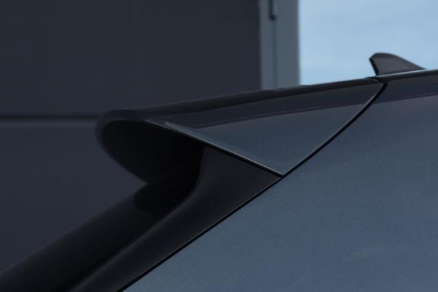 SEAT Leon CUPRA Leon 2.0 TDI 150 CV DSG