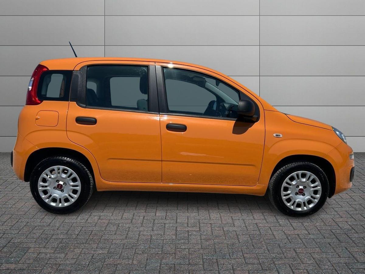 FIAT Panda III 2016 - Panda 1.2 Easy s&s 69cv my19