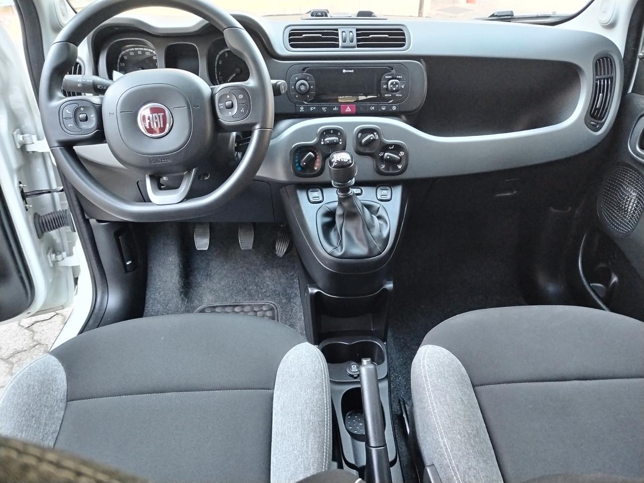 Fiat Panda 1.0 FireFly 70CV S&S HYBRID City Life - 2022