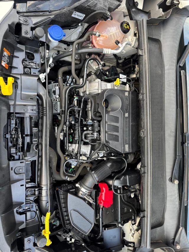 FORD Puma 1.0 EcoBoost Hybrid 125 CV S&S ST-Line