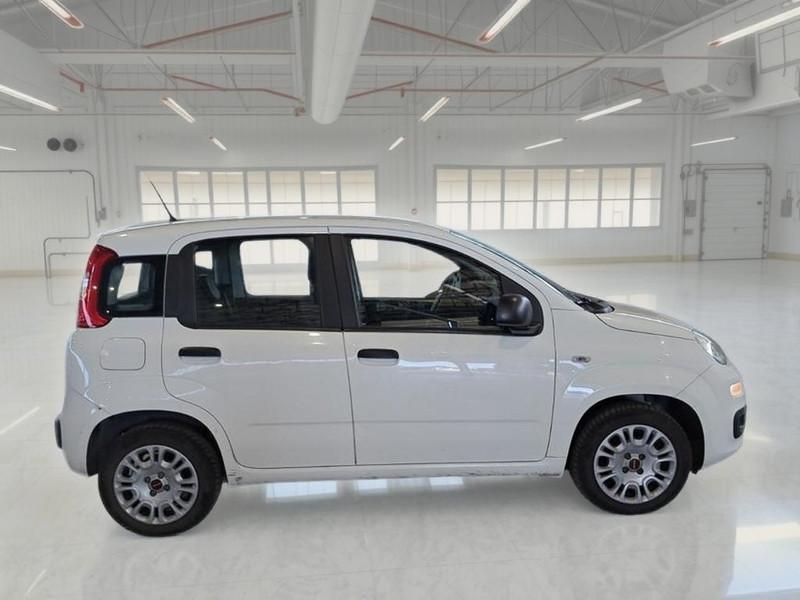 FIAT PANDA 1.2 69 CV SES E6D-TEMP EASY 5 PORTE BERLINA