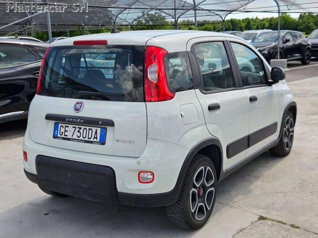 FIAT Panda Panda N1 1.0 70CV HYBRID EURO 6D VAN 4 Posti STRE