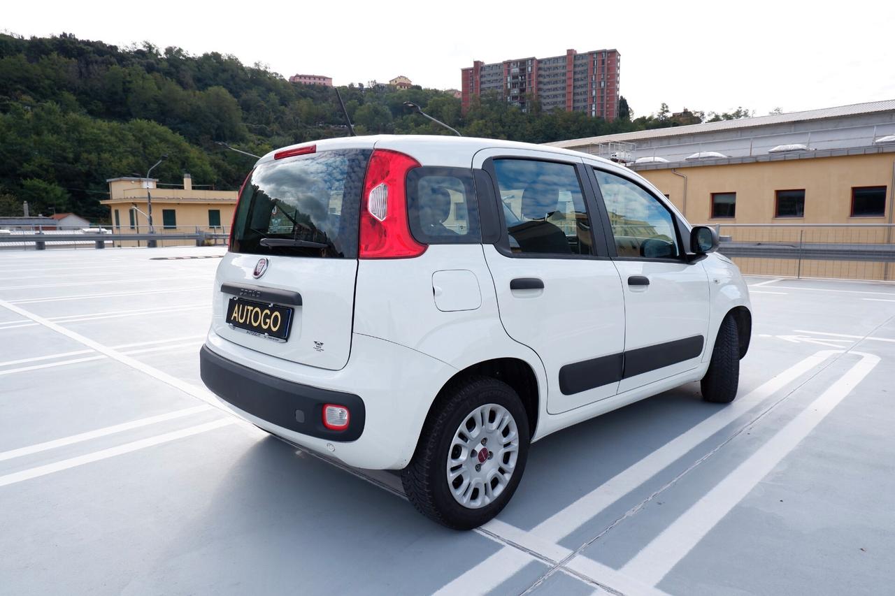 FIAT NEW PANDA 1.2 BENZ. 5 POSTI EURO6D