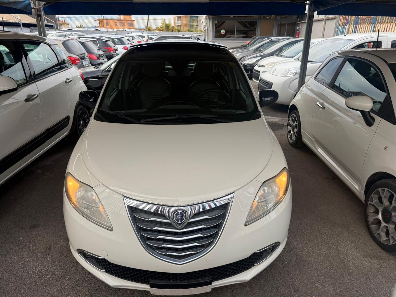 Lancia Ypsilon 1.3 MJT 16V 95 CV 5 porte S&S Platinum