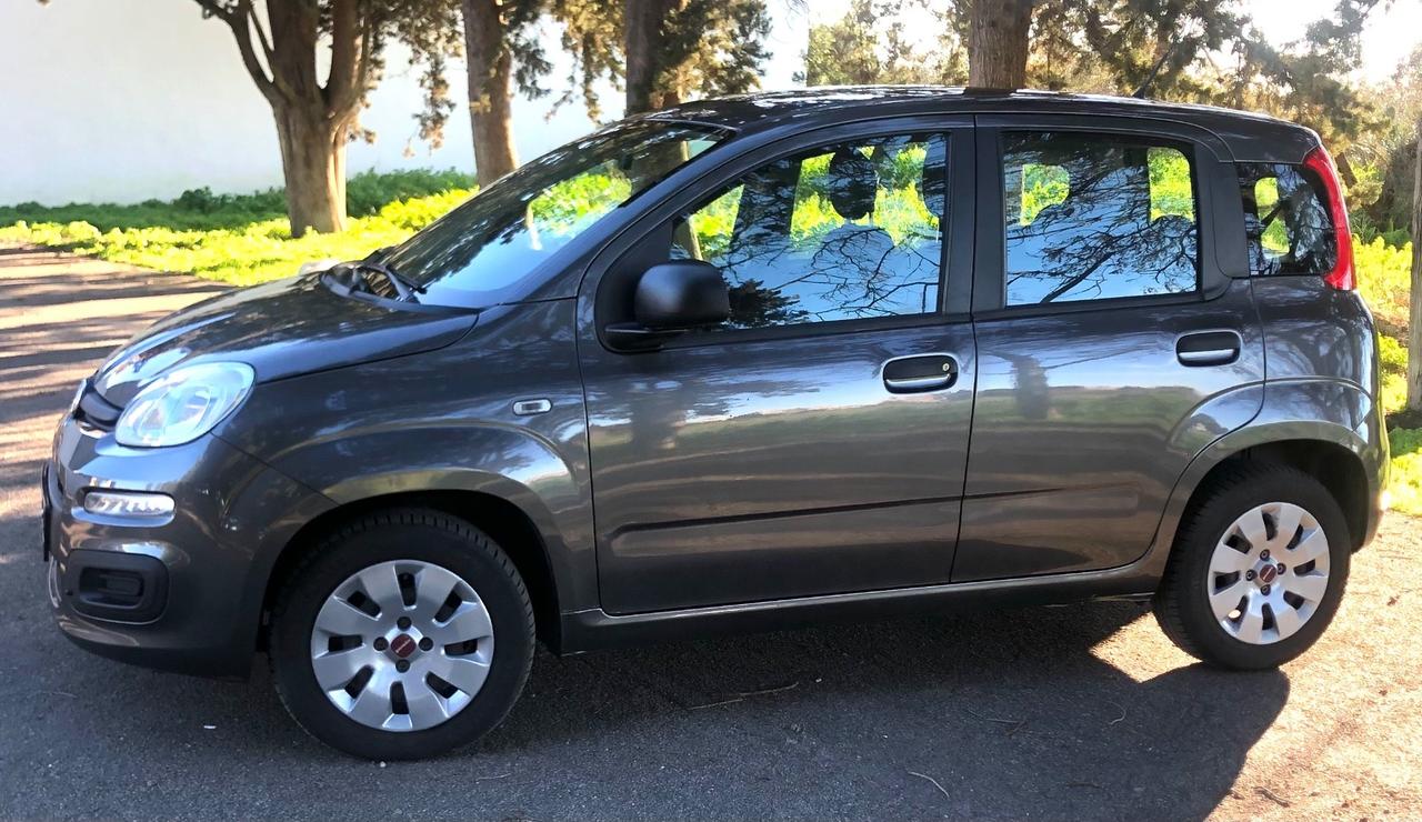 Fiat Panda 1.2 Lounge