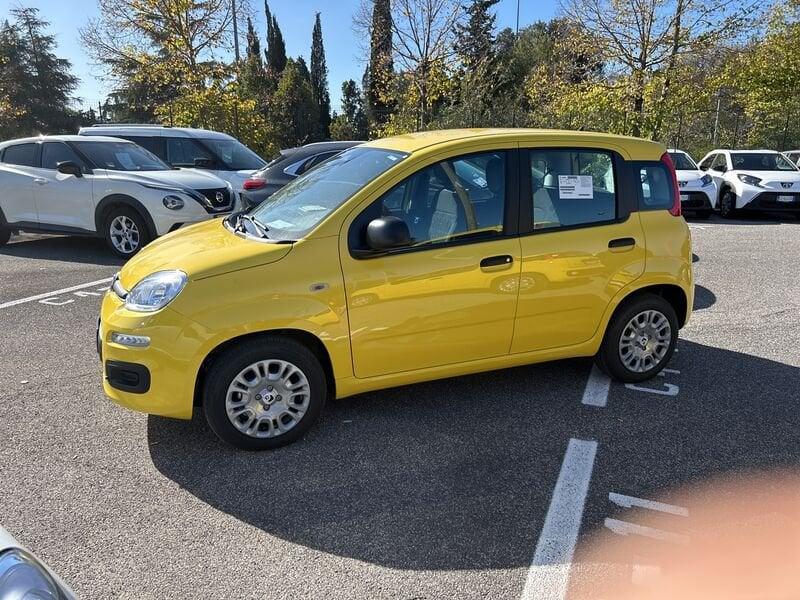 FIAT Panda New 1.0 70cv Hybrid Panda