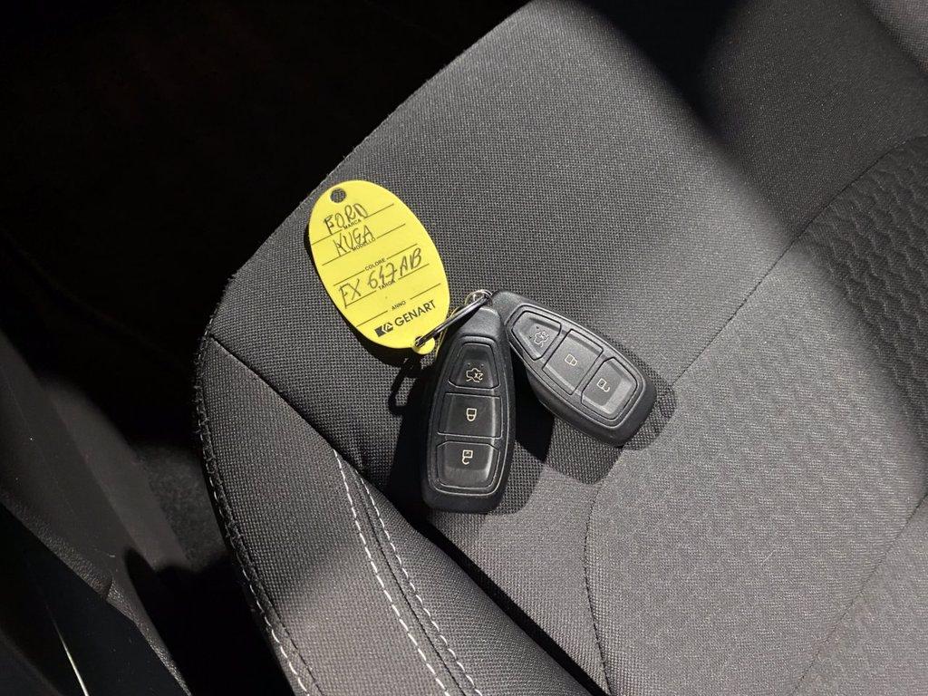 FORD Kuga 1.5 ecoboost Business s&s 2wd 120cv my19.25 del 2019