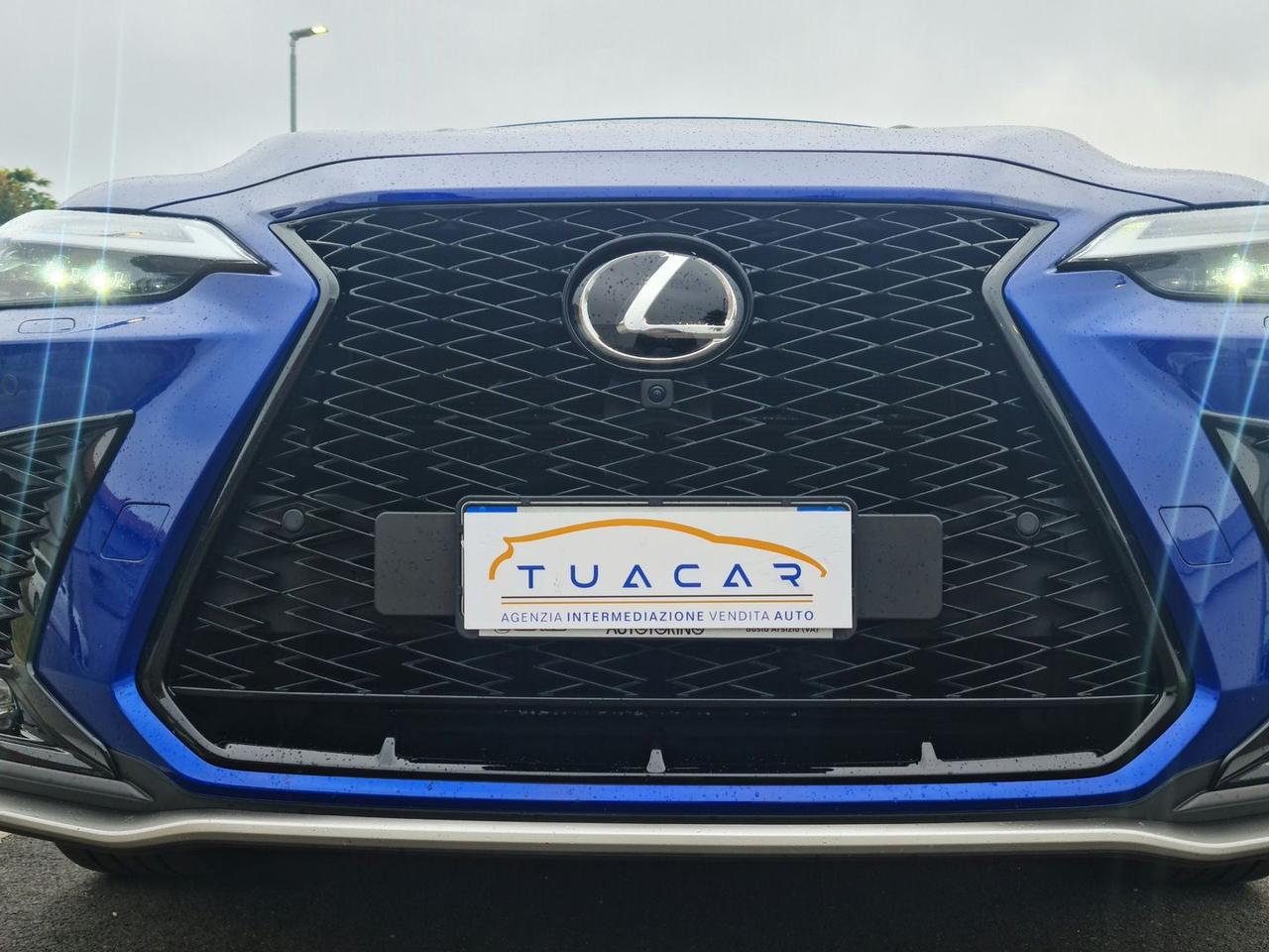 Lexus NX 350 h #6372