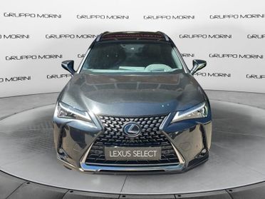 Lexus UX Hybrid Flare-Luxury 4WD MY22