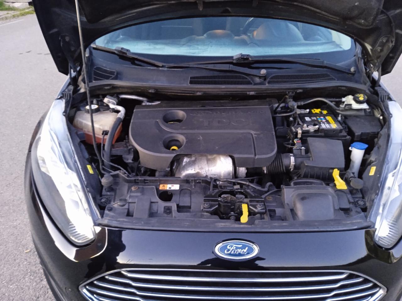 Ford Fiesta 1.5 TDCi 75CV 5 porte