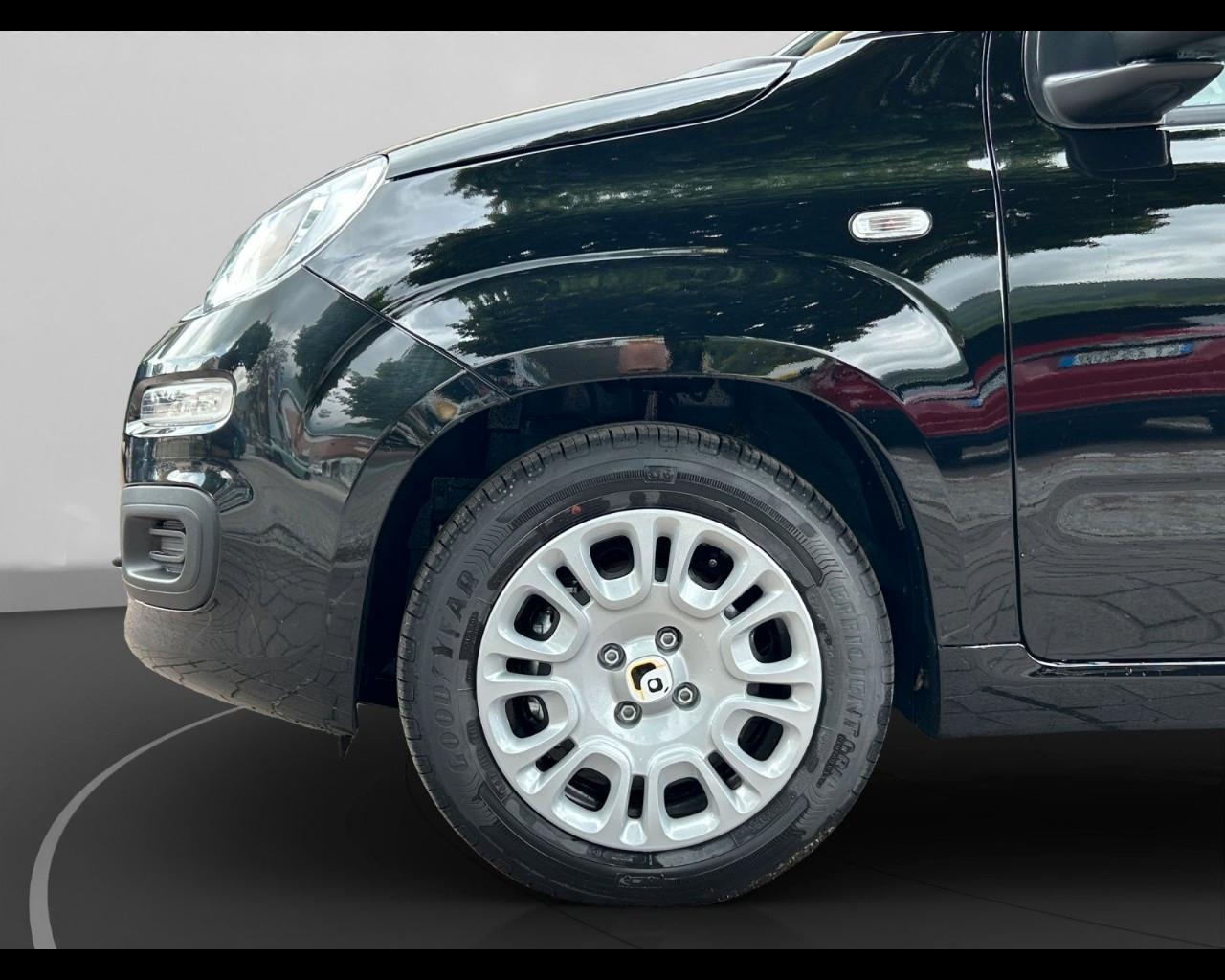 FIAT Panda My25 1.0 70cv Hybrid Panda