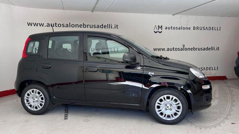 FIAT Panda Panda 1.0 FireFly S&S Hybrid 5 POSTI