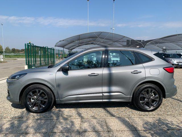 FORD Kuga 2.5 Full Hybrid 190 CV CVT 2WD ST-Line