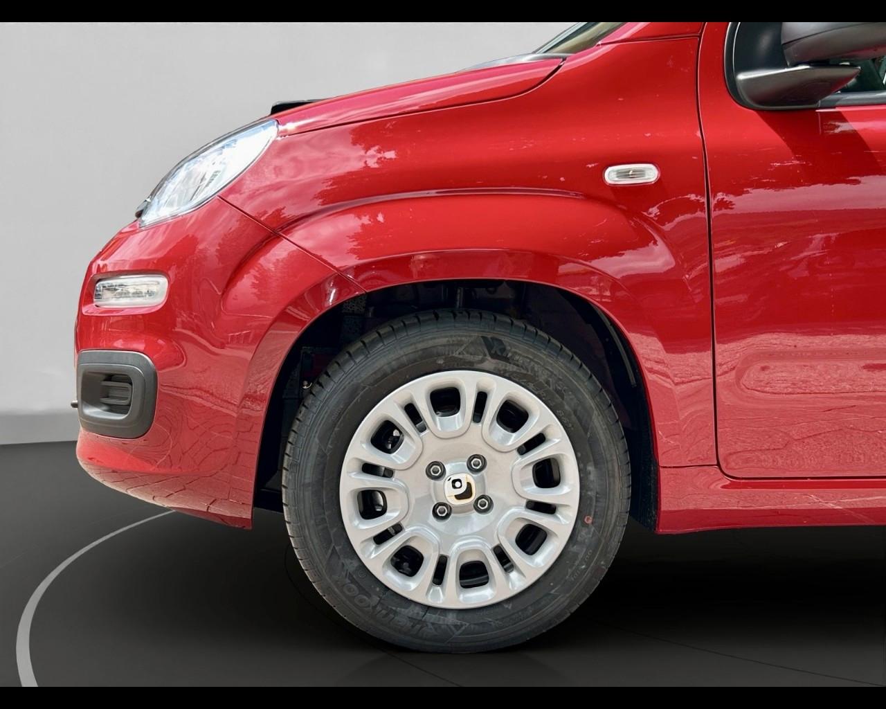 FIAT Panda My25 1.0 70cv Hybrid Panda