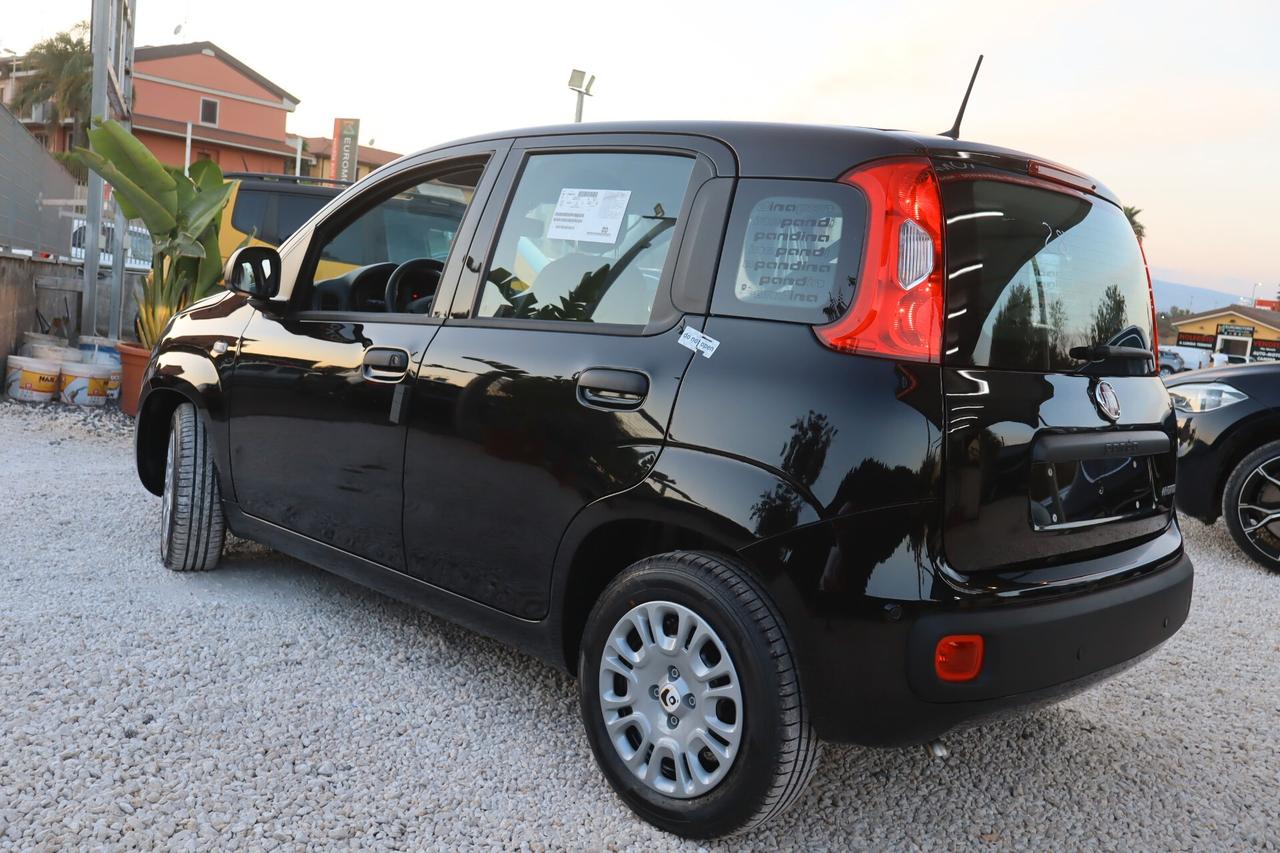 Fiat Panda 1.0 Tua A SOLI 185€
