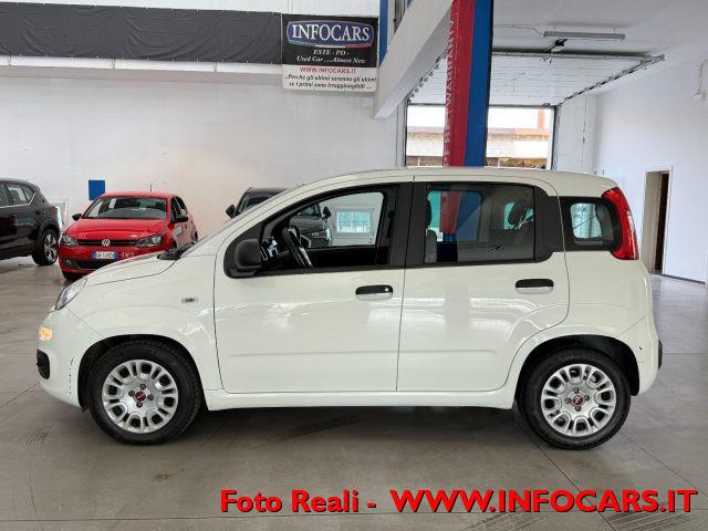 FIAT Panda Hybrid 1.0 FireFly 70 cv Neopatentati - PROMO