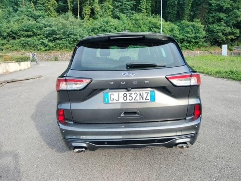 Ford Kuga Kuga 1.5 EcoBlue 120 CV 2WD ST-Line