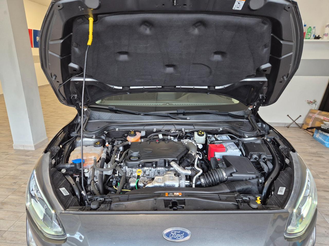 Ford Focus 1.5 EcoBlue 120 CV SW Business