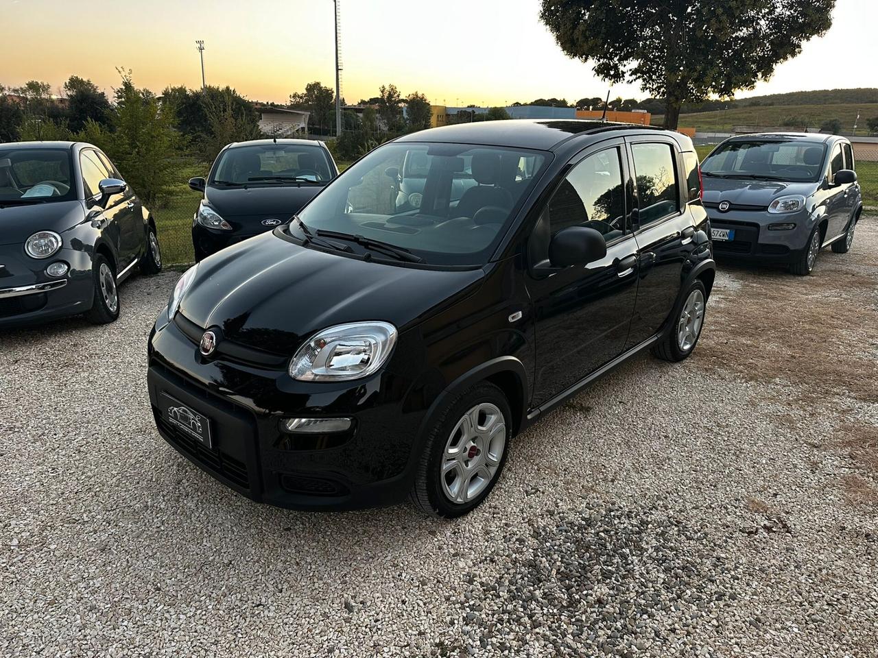 Fiat Panda 1.0 FireFly S&S Hybrid PREZZO REALE