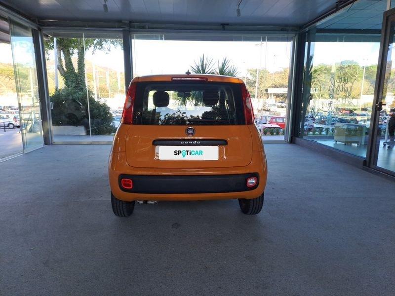 FIAT Panda 1.2 69cv S&S E6d-Temp Easy