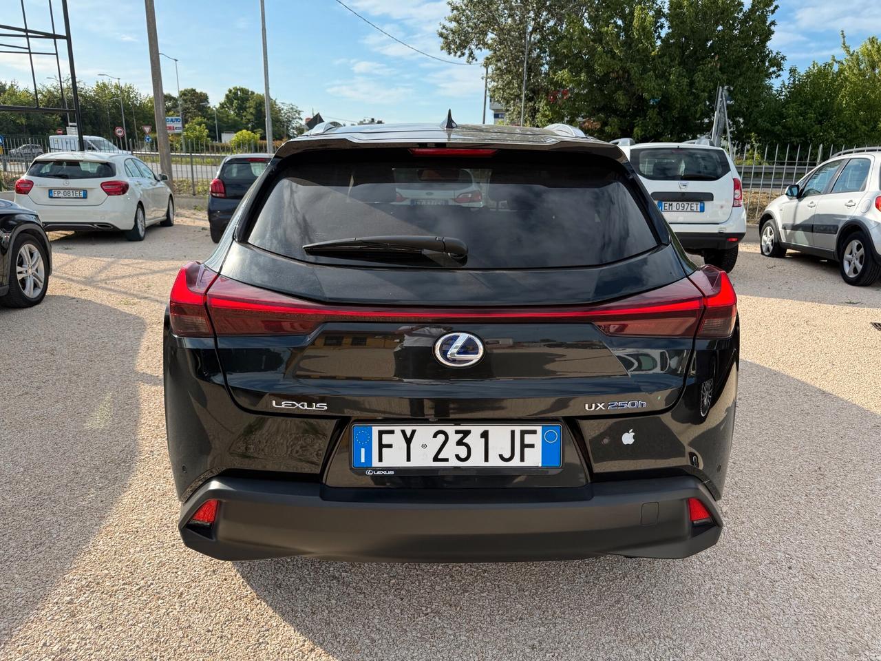 Lexus UX UX250H Hybrid Premium 184cv 2.0 2wd cvt my20
