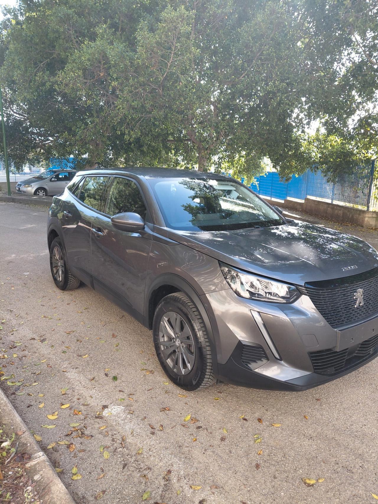 Peugeot 2008 BlueHDi 110 S&S Active Pack