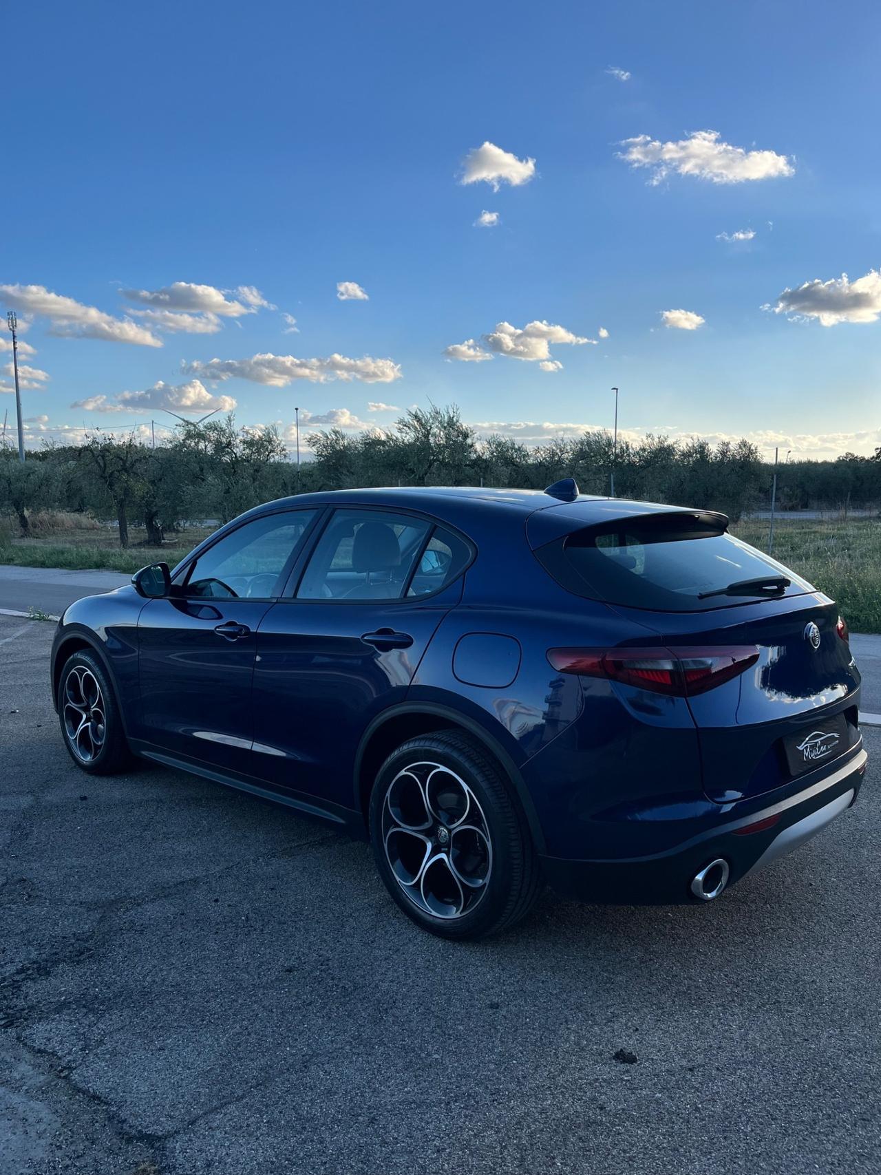 Alfa Romeo Stelvio 2.2 executive 190cv IVA ESPOSTA