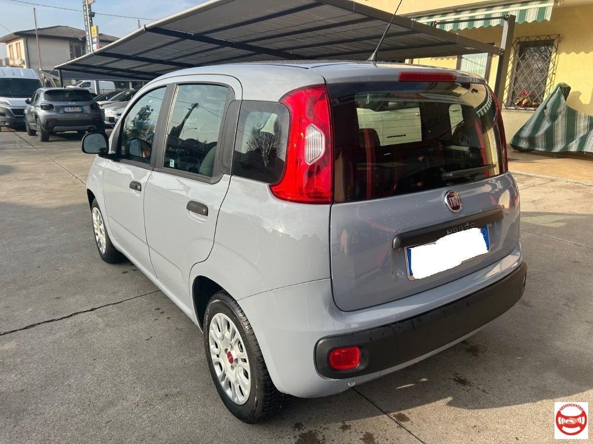 FIAT - Panda 1.2 Easy easypower Gpl 69cv my19