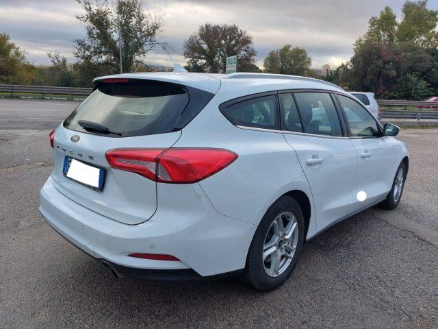 FORD Focus 1.5 EcoBlue 120 CV SW Business N1