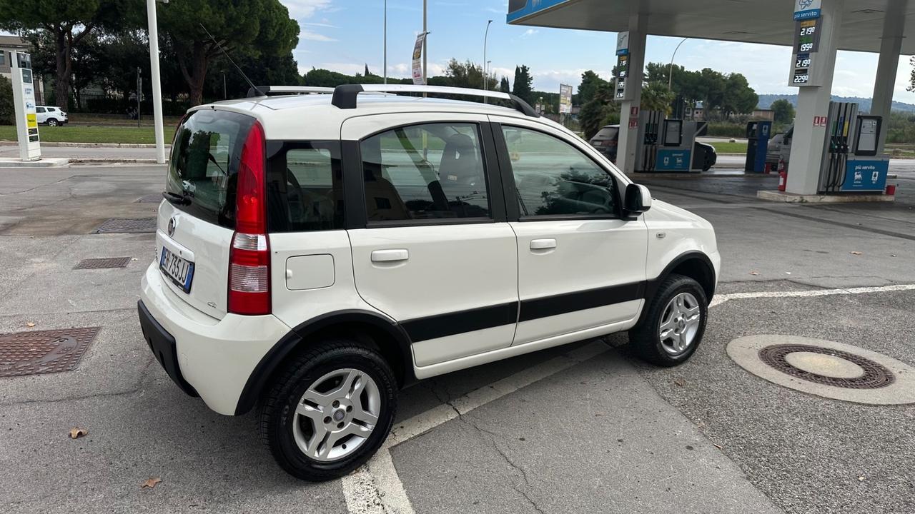 Fiat Panda 1.3 MJT 16V DPF 4x4 Climbing